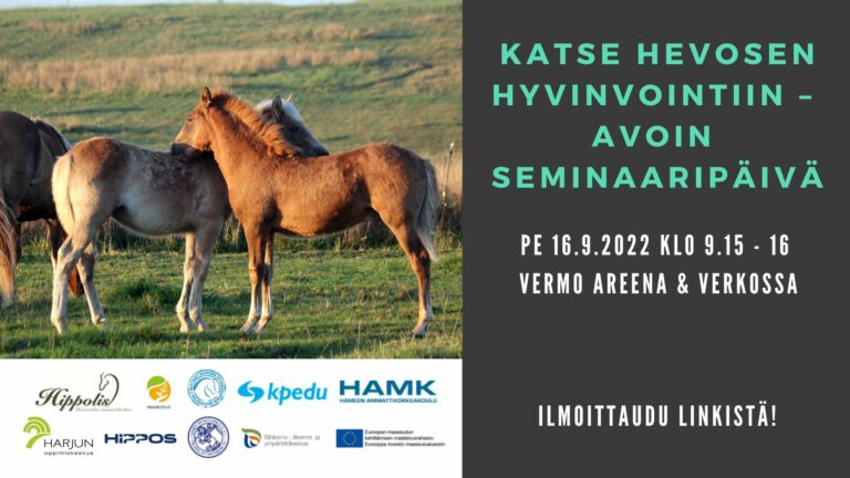 Katse hevosen hyvinvointiin – avoin seminaaripäivä pe 16.9.2022