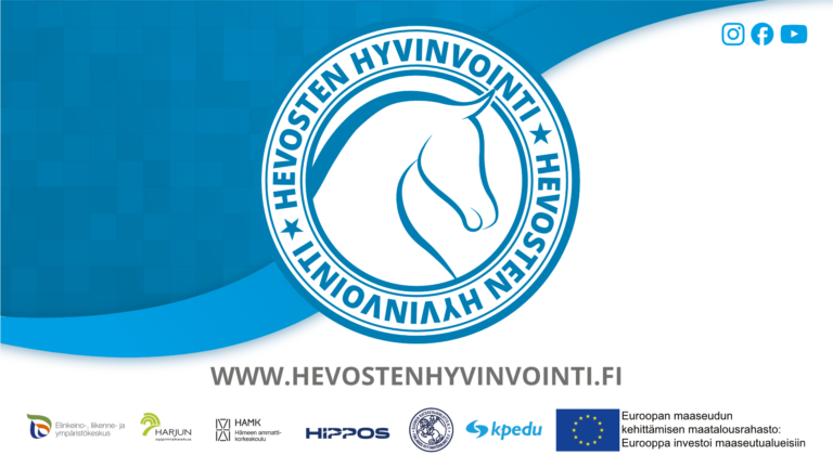 Hyvinvointimittaristo on julkaistu!