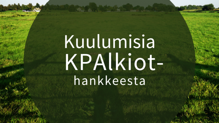 Hankekuulumisia