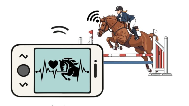 Peloton kokeilija hyötyy ensin – teknologian mahdollisuudet hevostallien arjessa